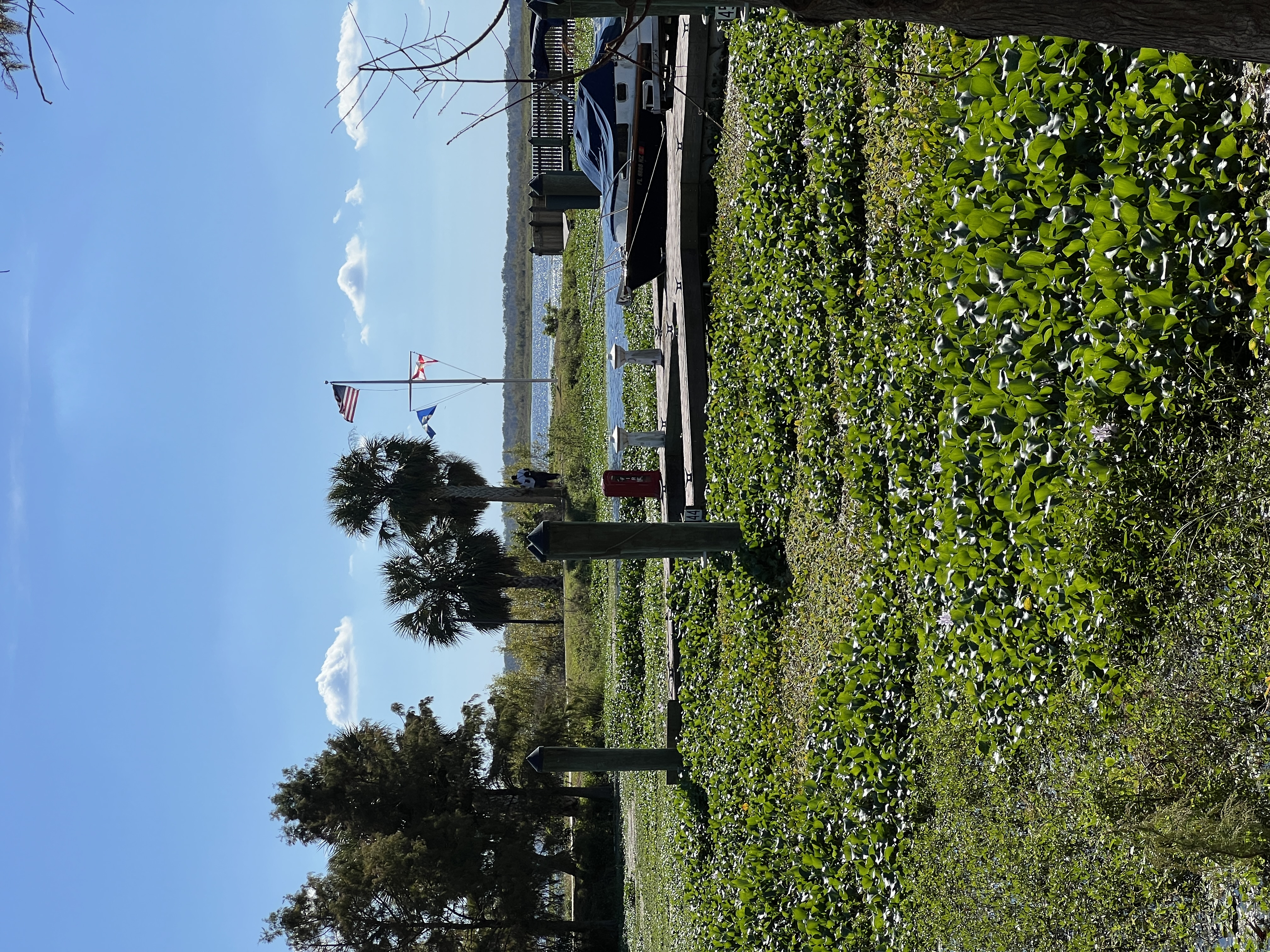 ./2024/12 - Thanksgiving/IMG_3935.JPG